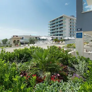 Kamelija , Split Chorwacja